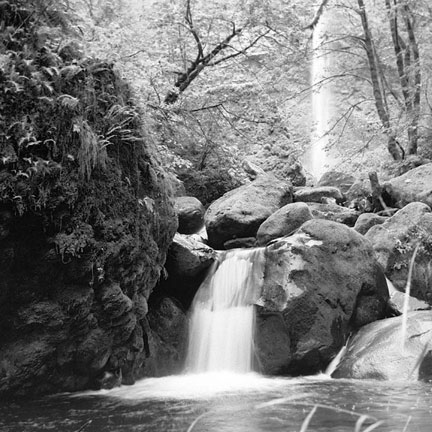 McCord Creek, Oregon
