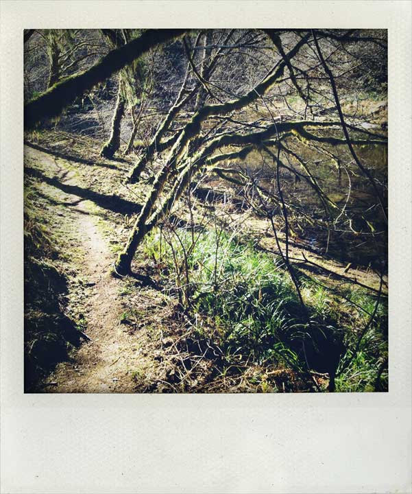Arch Cape/Soapstone Lake