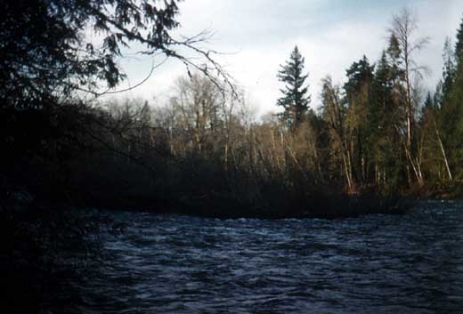Clackamas River Valley