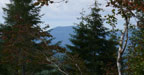 Cannibal Mtn.