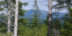 Prairie Mountain
