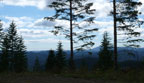 Siuslaw gap