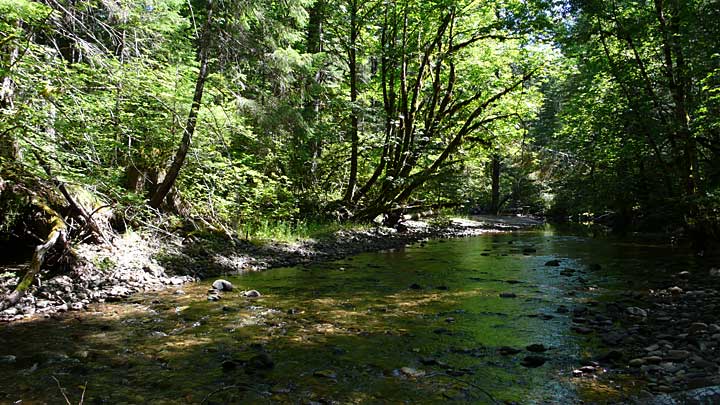 Dry Creek