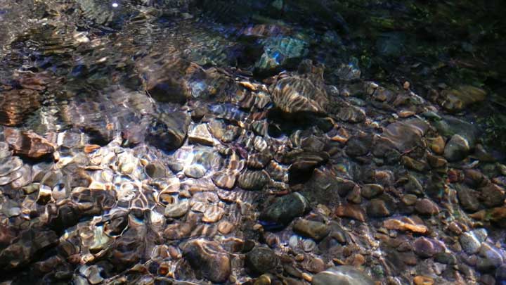 Dry Creek