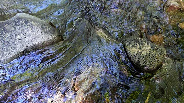Dry Creek