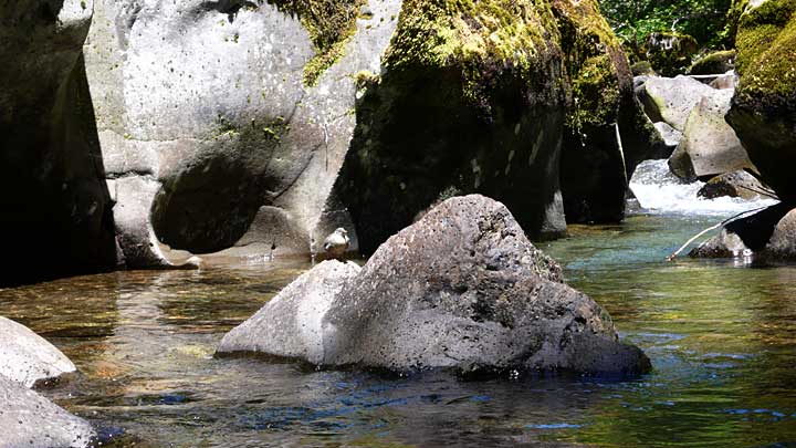 Dry Creek