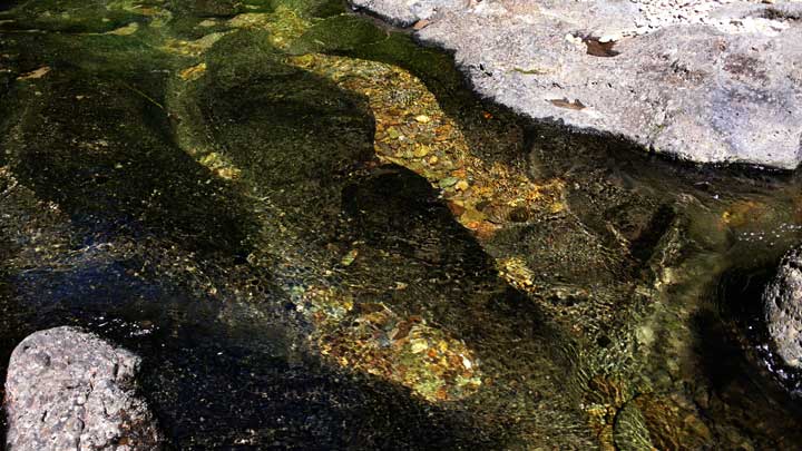 Dry Creek