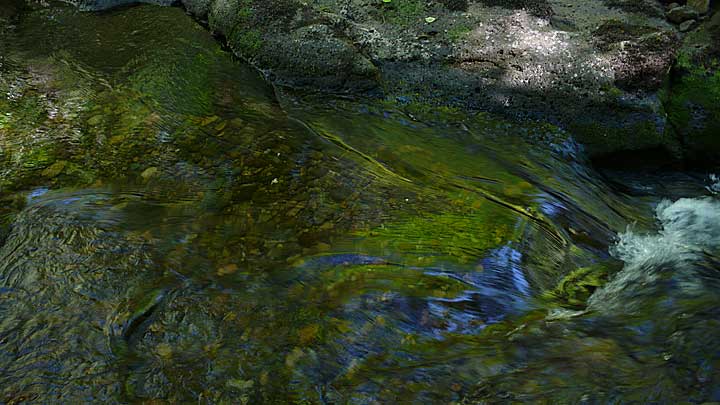 Dry Creek