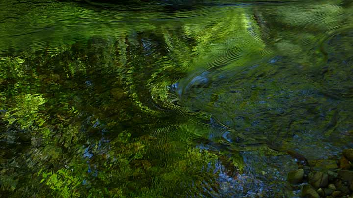 Dry Creek