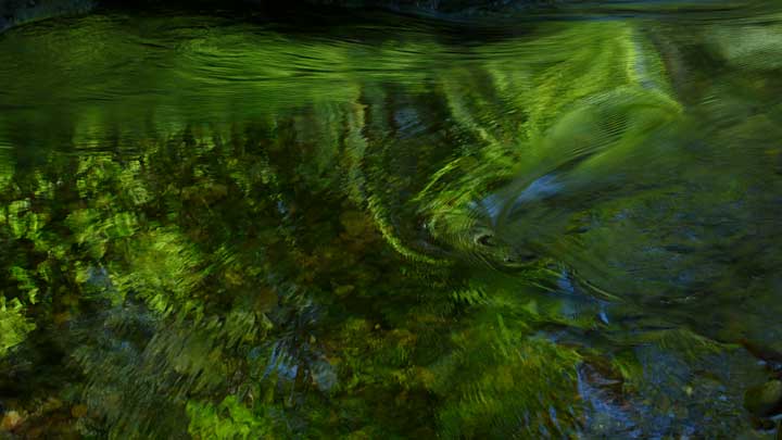 Dry Creek