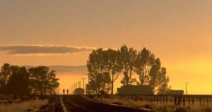 Country Road at Dawn photo