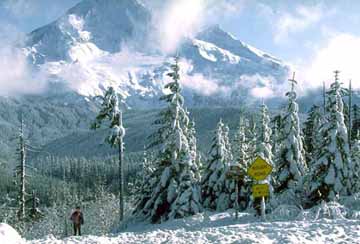 Lolo Pass, OR InSport catalog photo