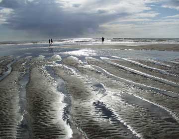 Beach, Ocean Park, WA