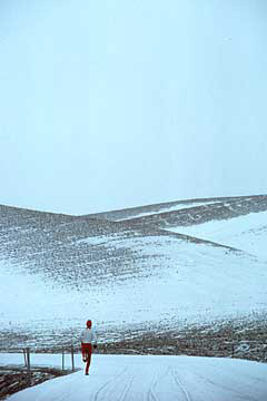 Runner, Palouse, WA