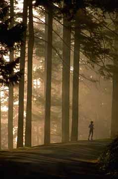 Runner, Mt. Tabor, Portland, OR