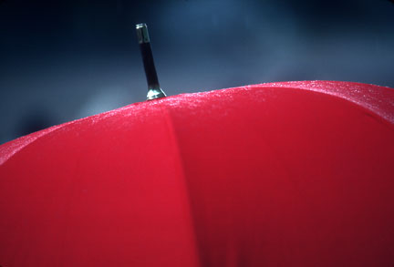 umbrella
