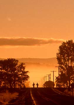 Walking at Dawn