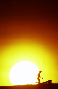 Sun Runner