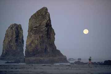  Beach, Oregon  Nike running poster image