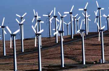 Wind Power, Altamont, CA 