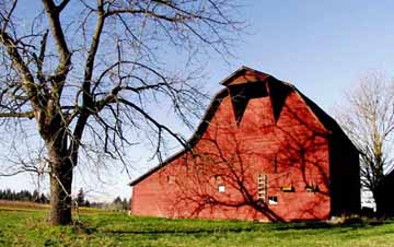 Red Barn, Monitor, OR, photo