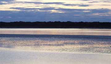 Mud Flats, Wheeler, OR, photo