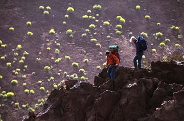Hikers, Tenerife, adidas catalog cover