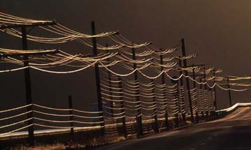 Sun reflecting on wires, photo