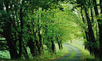 Road