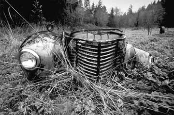 truck in grass photo