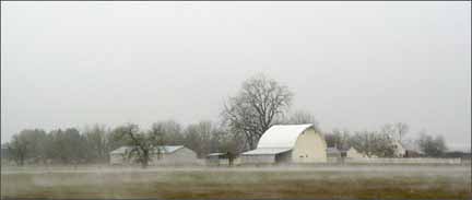 Farm