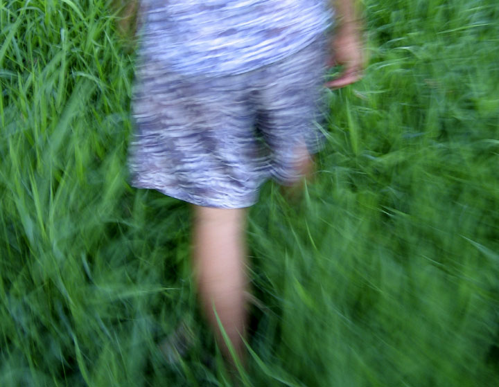 Walking in the grass, photo