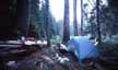 Camp