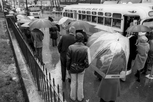 Umbrella Bus Stop