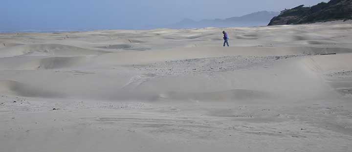 Newport dunes