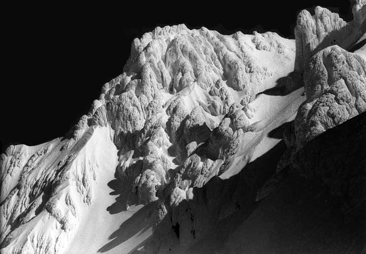 Yokum Ridge, Mt. Hood, photo