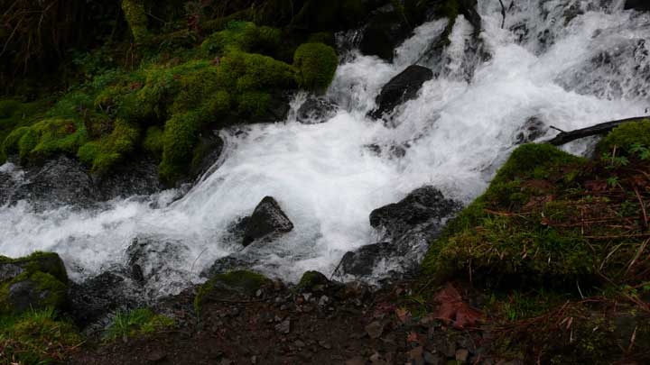 Waukeena Falls Hike