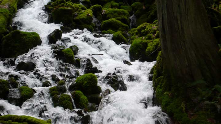 Waukeena Falls Hike