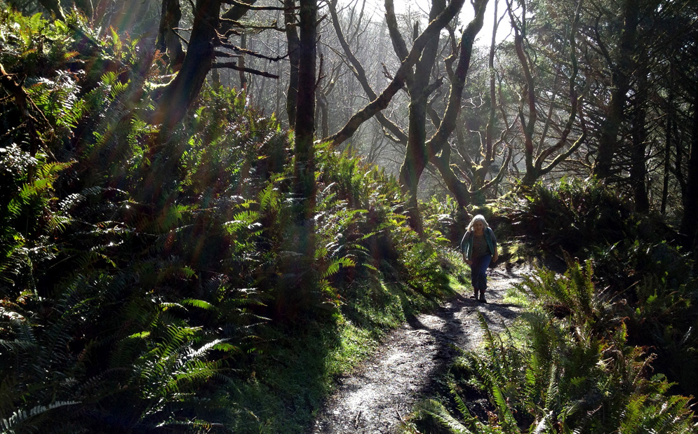 Hiking on Indian Beach Trail, Ecola State Park