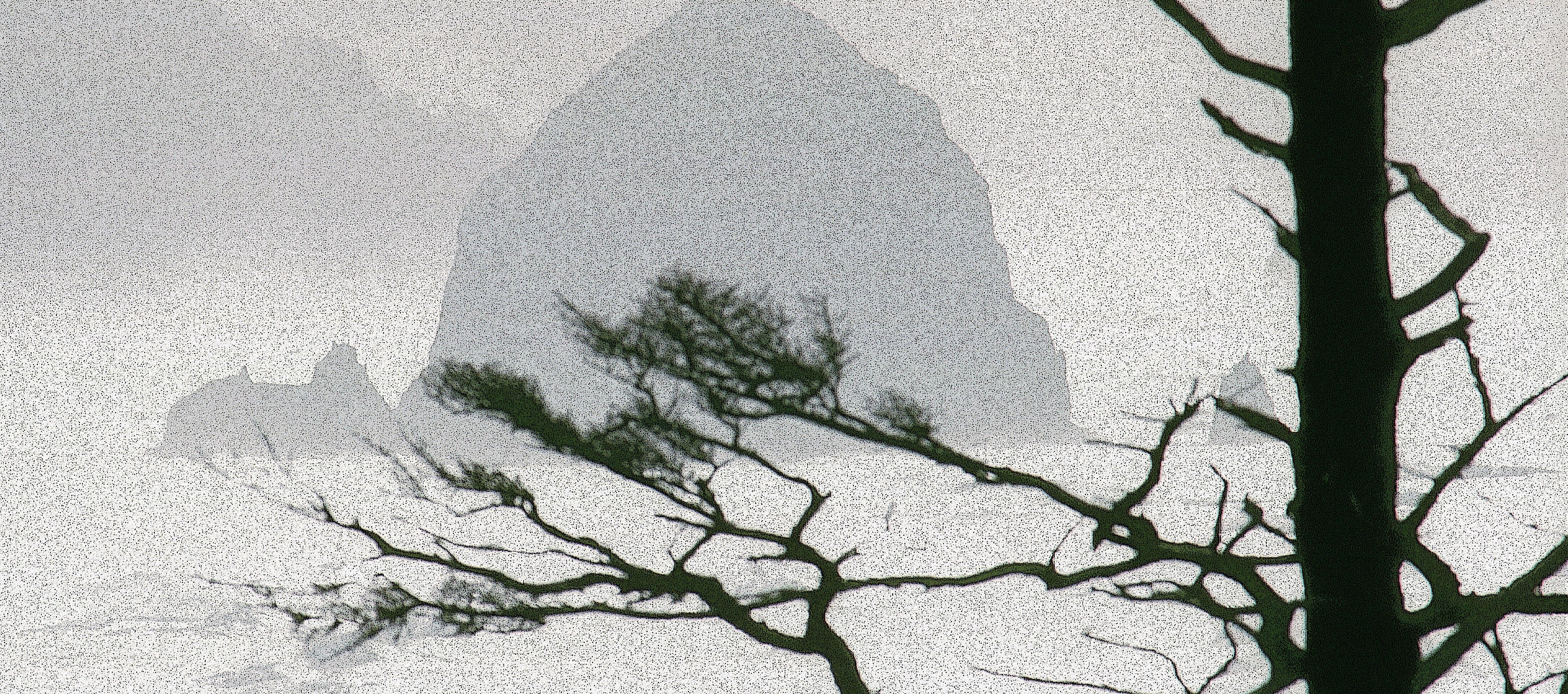 Haystack