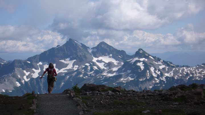 Mt. Rainier