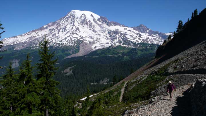 Mt. Rainier