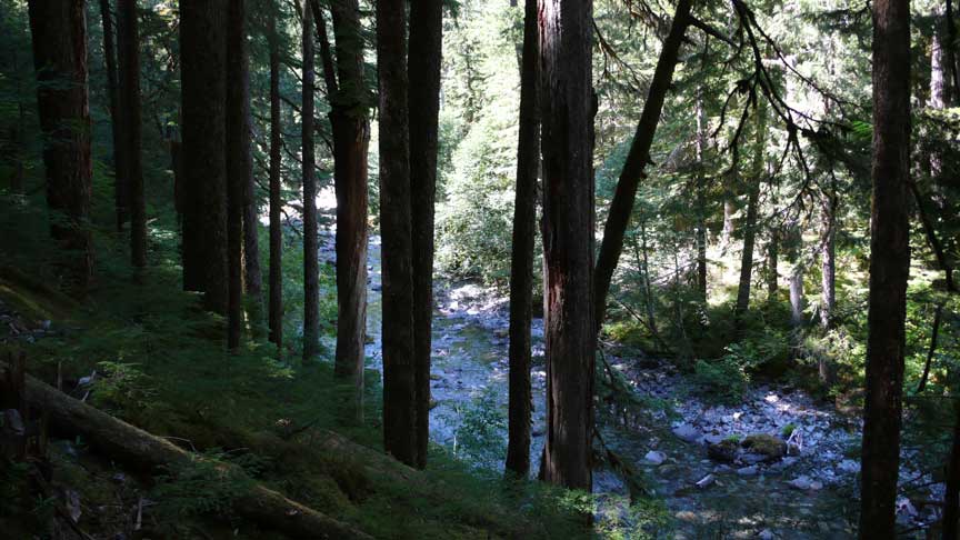 Opal Creek area