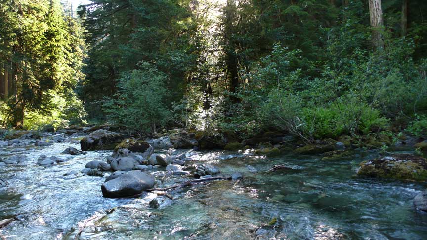 Opal Creek area