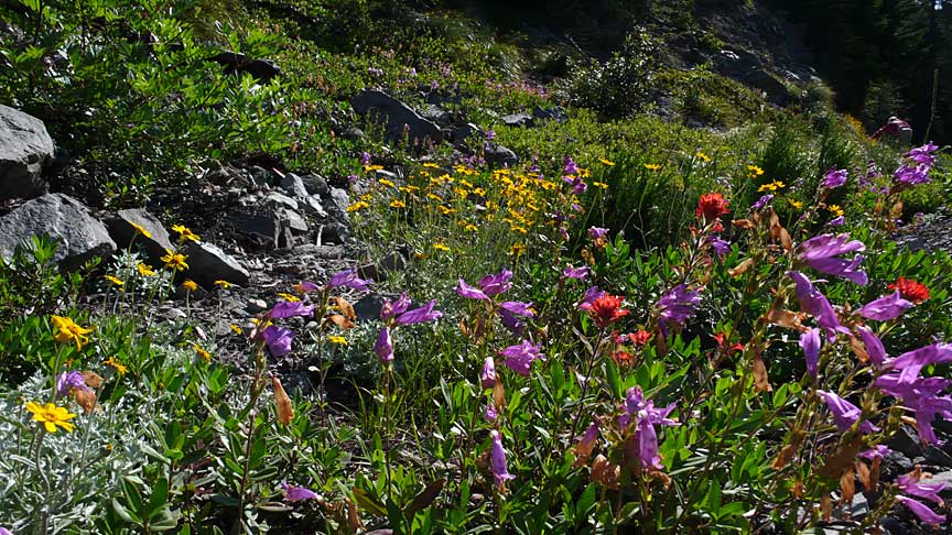 Opal Creek area