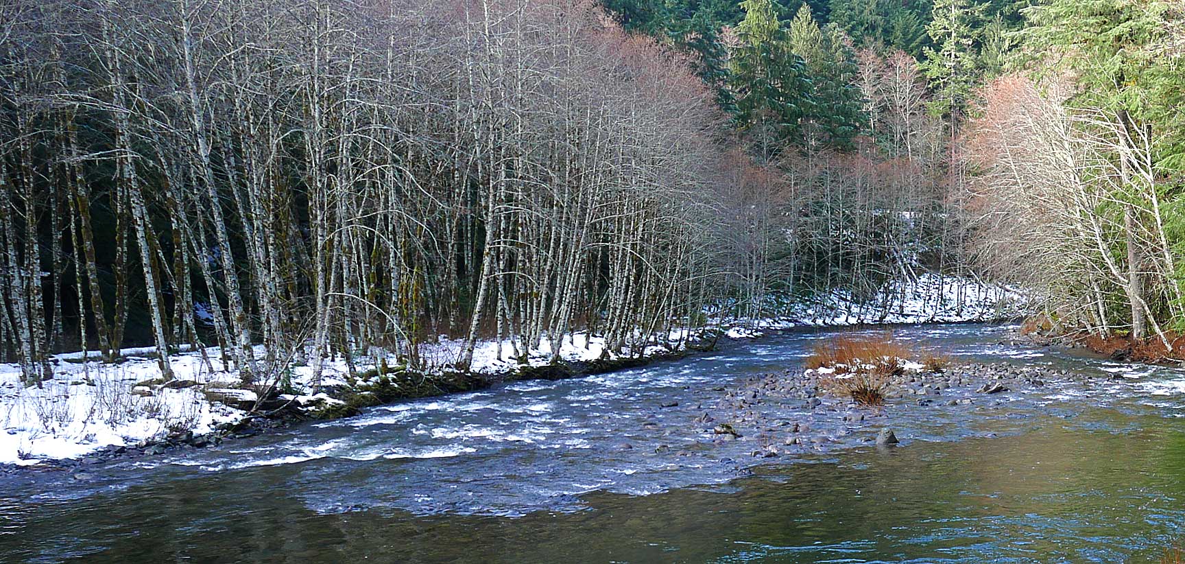 Salmon River Trail West