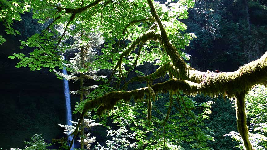 Silver Falls