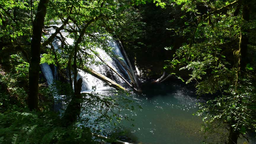 Silver Falls