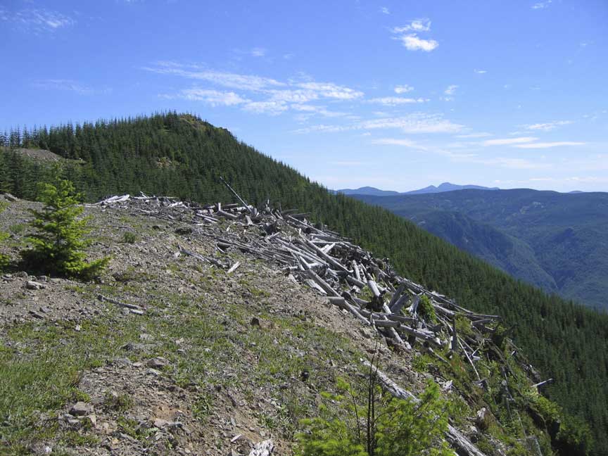 Elk Rock