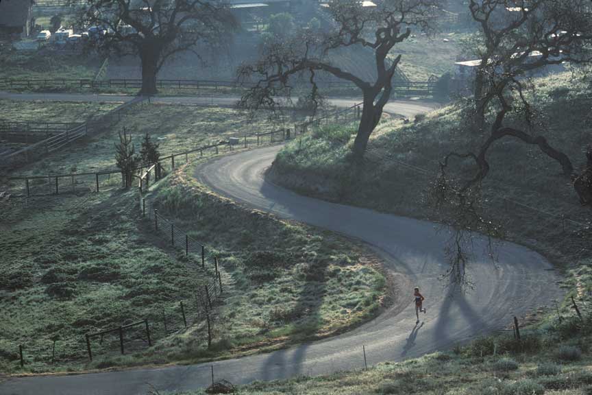 Morning Run, Solvang, CA